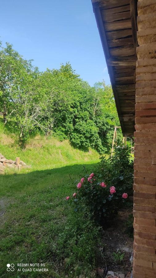 Villa Ferme Du Bois Du Pouget La Salvetat-Belmontet Exterior foto